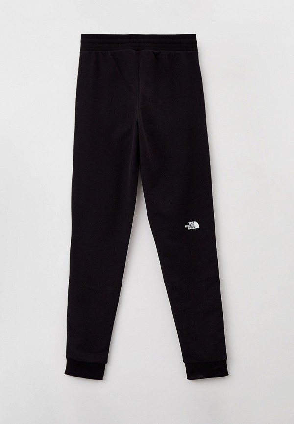 фото Брюки спортивные the north face