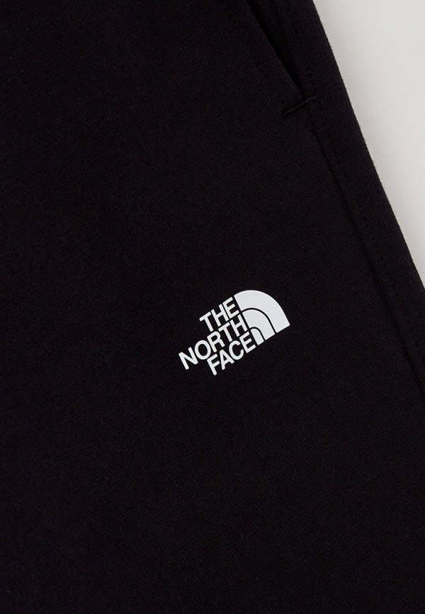 фото Брюки спортивные the north face