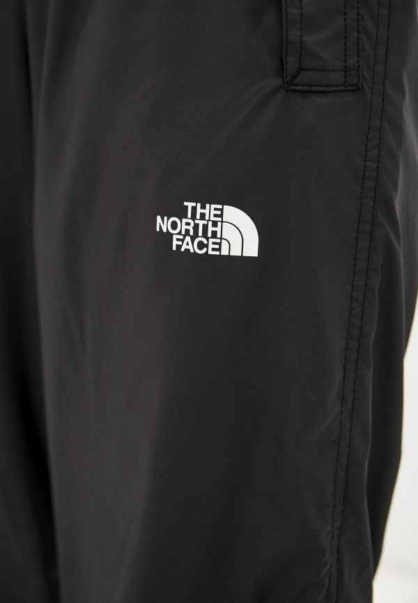 фото Брюки спортивные the north face