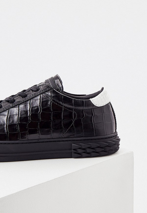 фото Кеды giuseppe zanotti