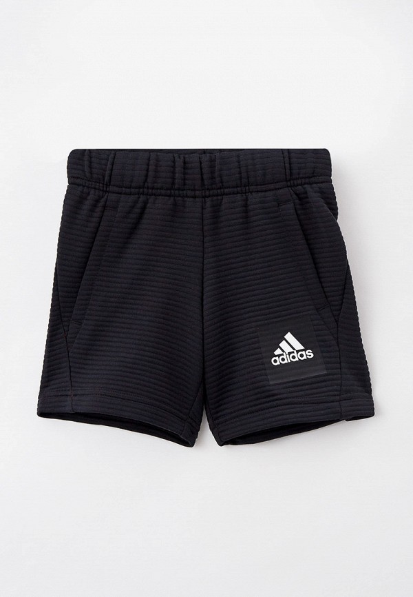 Шорты спортивные adidas черный H10221 RTLAAT270601