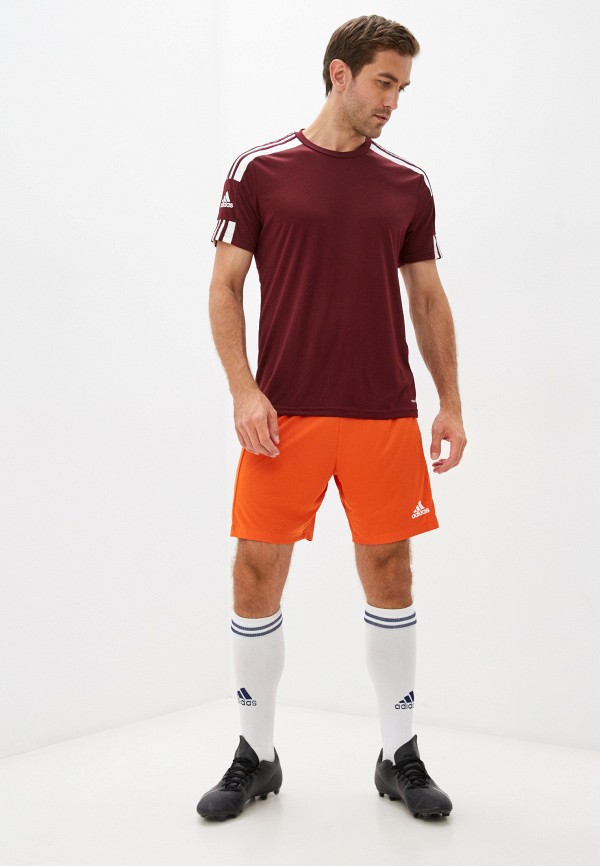 фото Шорты спортивные adidas