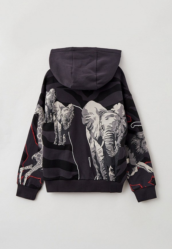 фото Толстовка kenzo