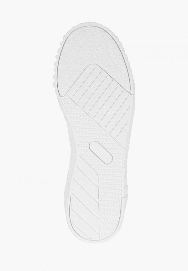 фото Кеды patrol