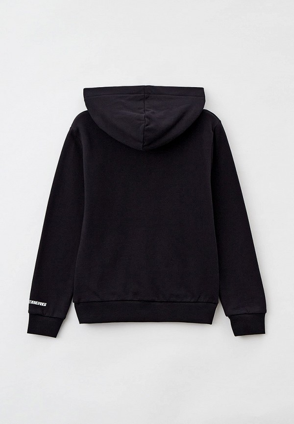 фото Худи iceberg