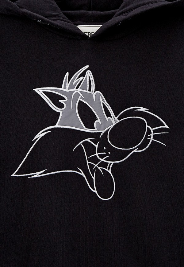 фото Худи iceberg