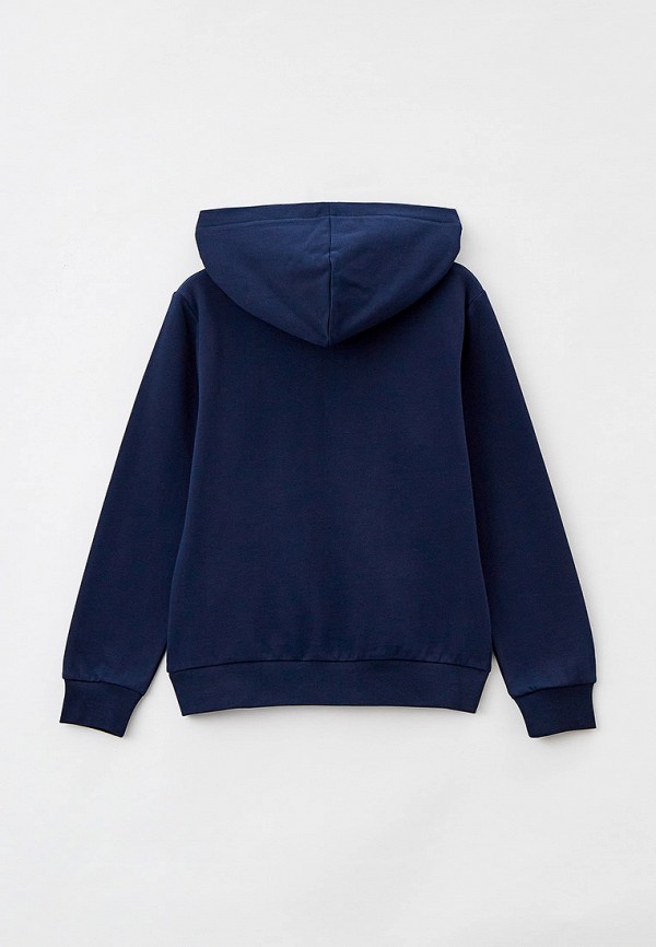 фото Толстовка iceberg