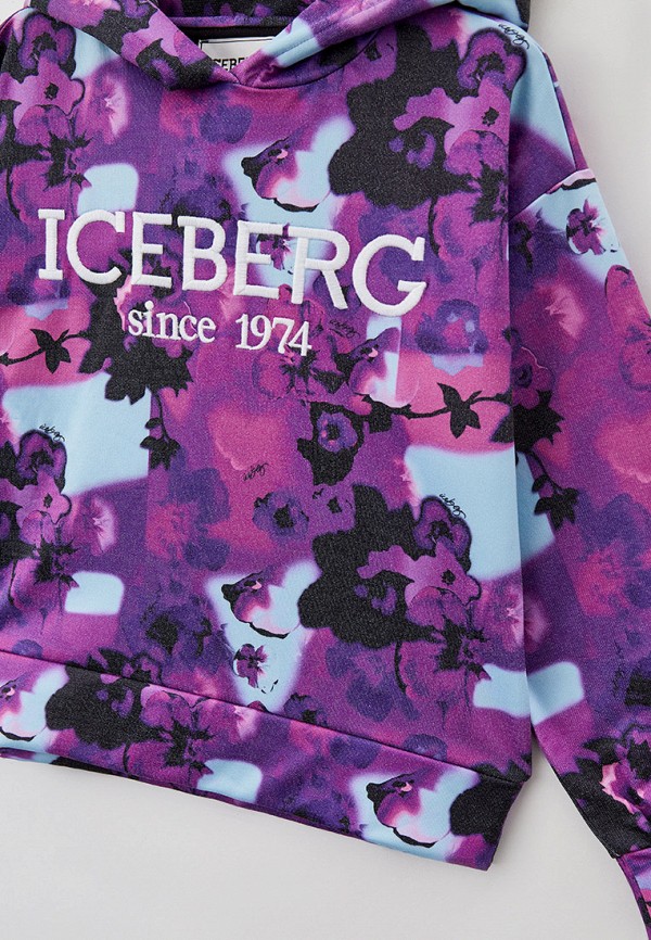 фото Худи iceberg