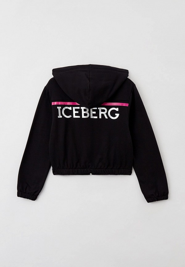 фото Толстовка iceberg