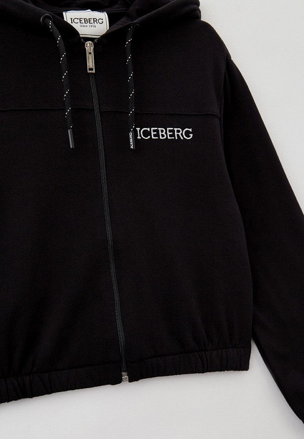 фото Толстовка iceberg