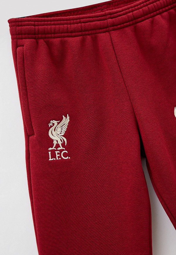 

Брюки спортивные Nike, Бордовый, LFC Y NK GFA FLC PANT BB