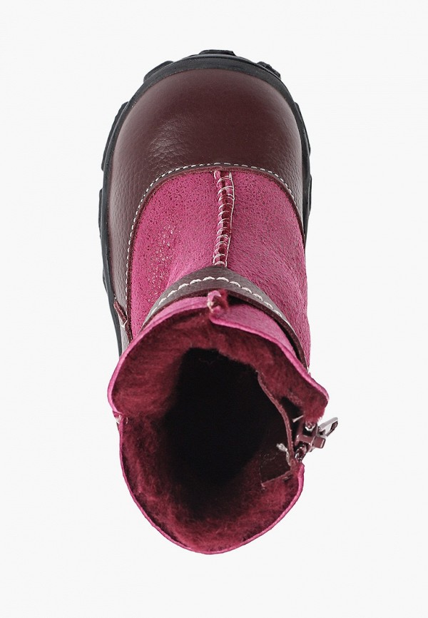 фото Сапоги tapiboo