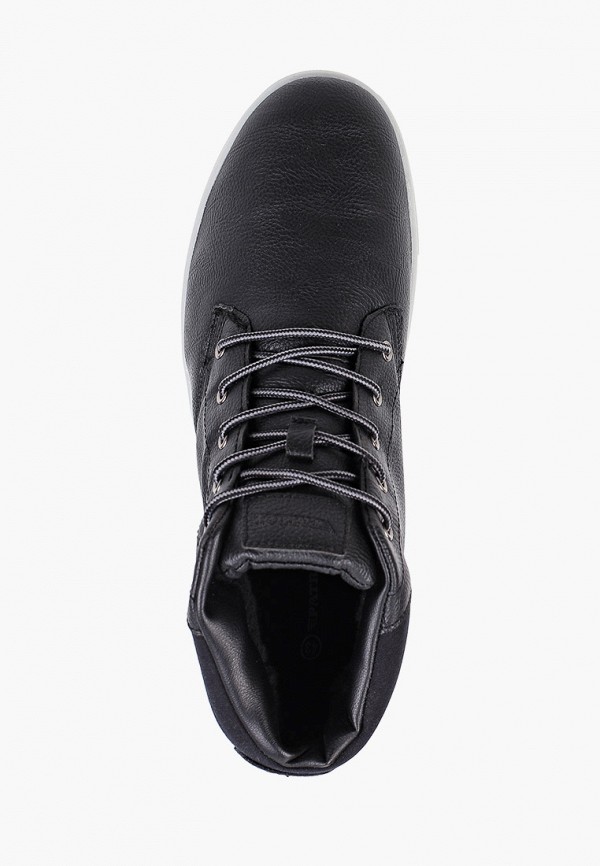 фото Кеды patrol