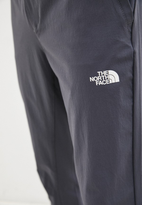 фото Брюки спортивные the north face