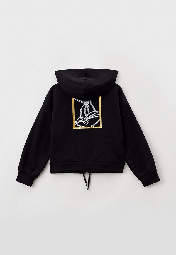 фото Толстовка iceberg