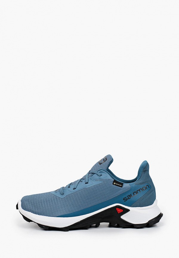 

Кроссовки Salomon, Голубой, ALPHACROSS 3 GTX W