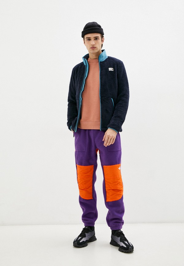 фото Брюки спортивные the north face