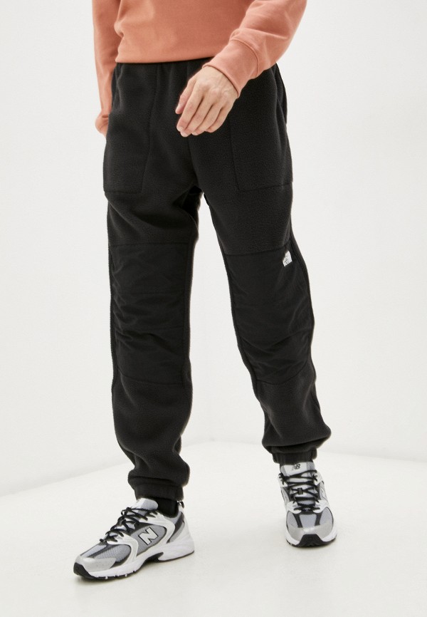 фото Брюки спортивные the north face