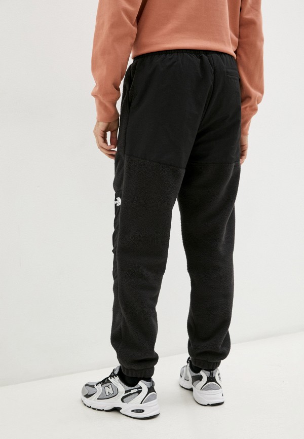 фото Брюки спортивные the north face