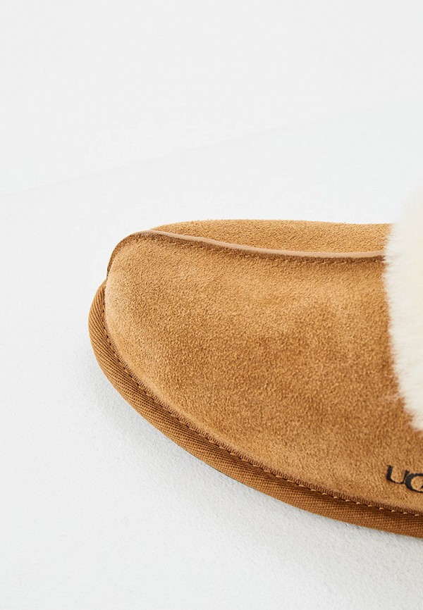фото Тапочки ugg