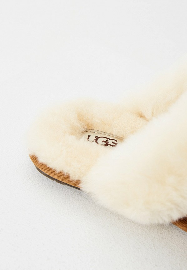 фото Тапочки ugg