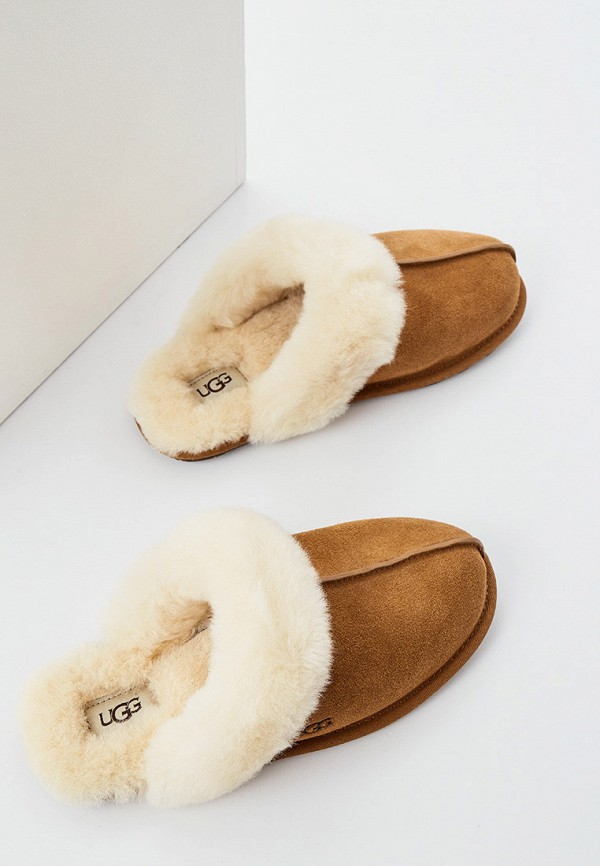 фото Тапочки ugg
