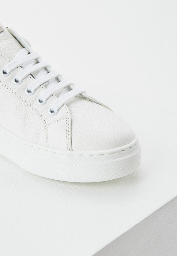 фото Кеды philipp plein