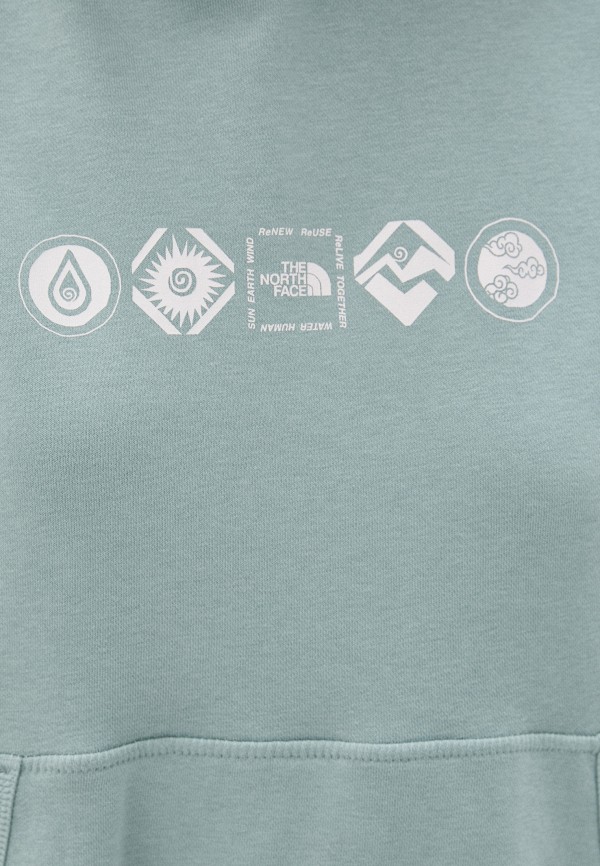 фото Худи the north face