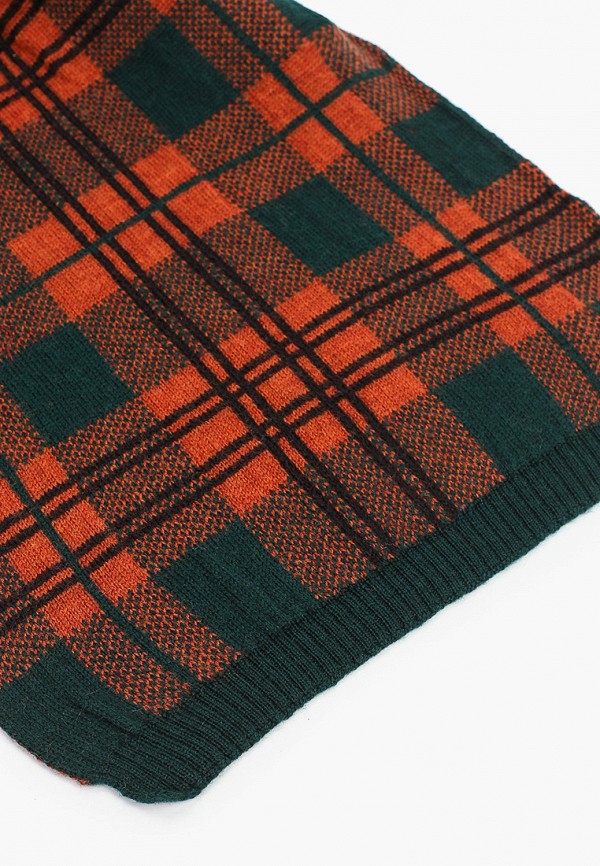 фото Шарф venera