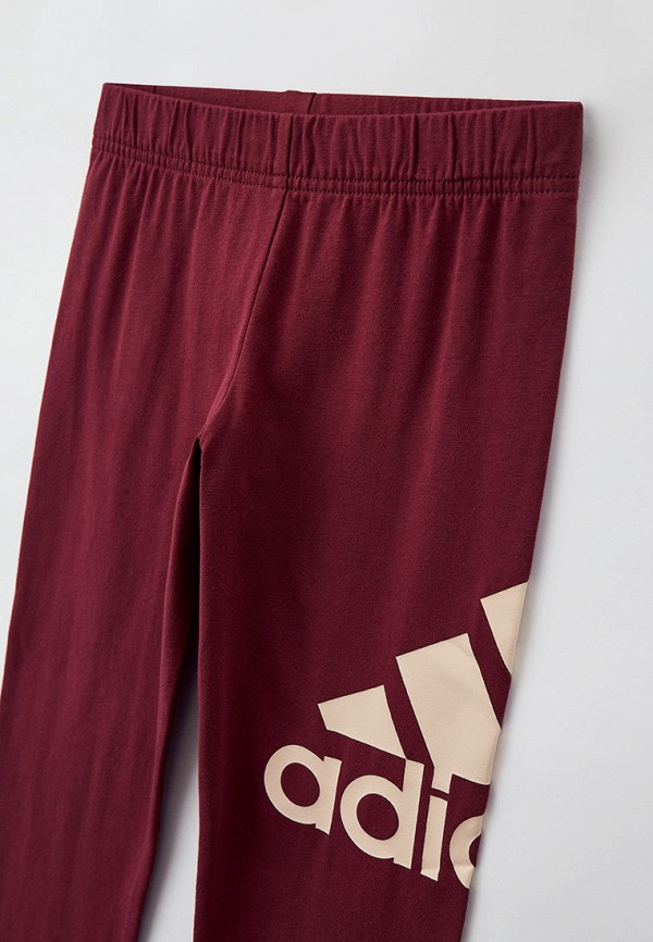 фото Леггинсы adidas