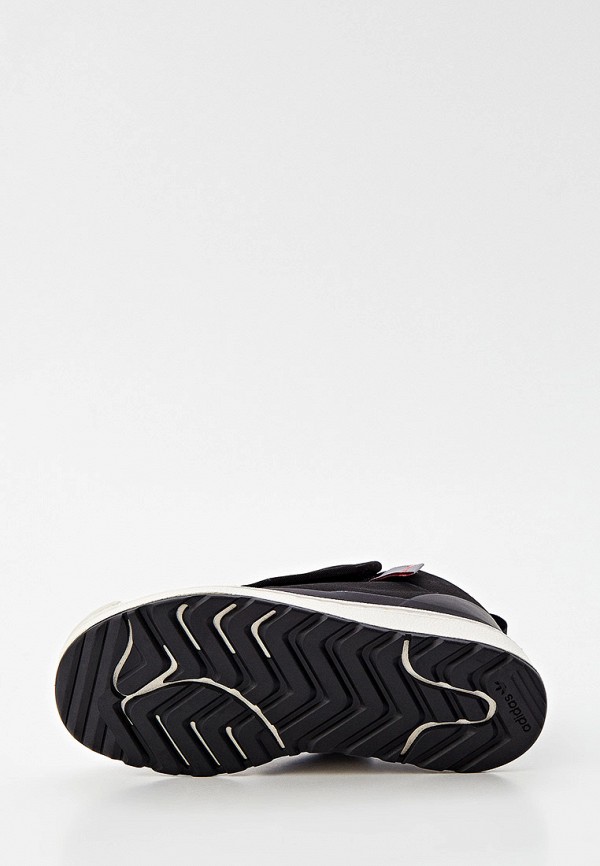 фото Кеды adidas originals