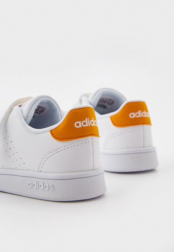 фото Кеды adidas