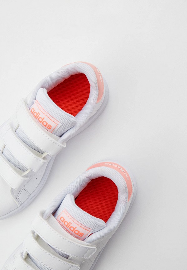 фото Кеды adidas