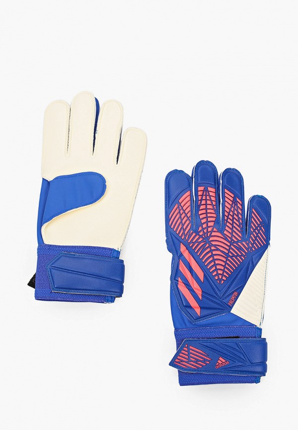 фото Перчатки вратарские adidas