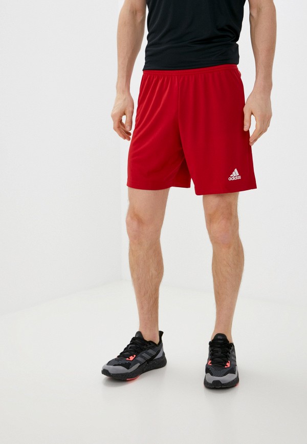 

Шорты спортивные adidas, Бордовый, ENT22 SHO