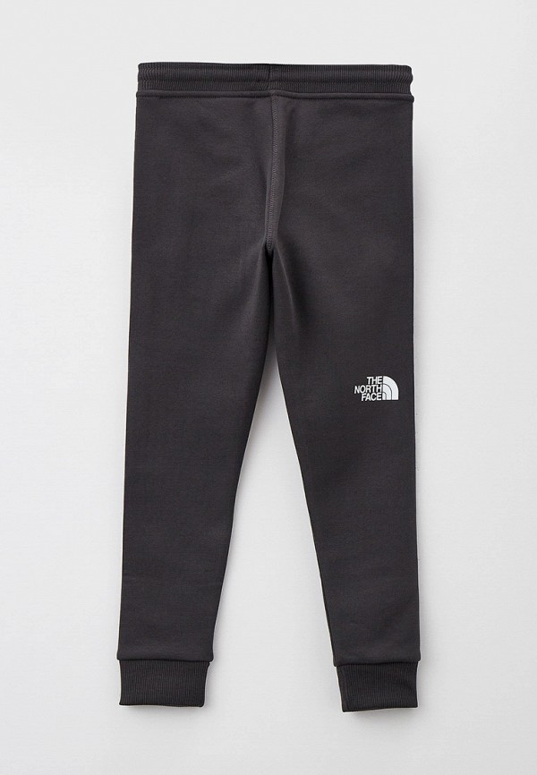 фото Брюки спортивные the north face