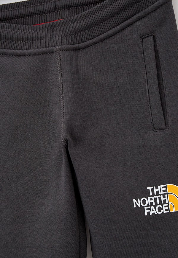 фото Брюки спортивные the north face