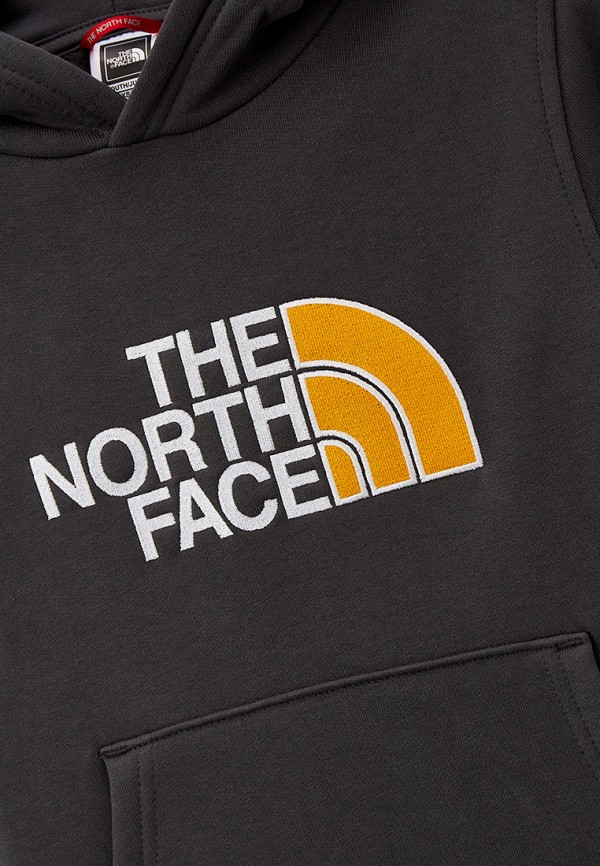 фото Худи the north face