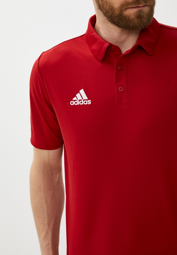 фото Поло adidas