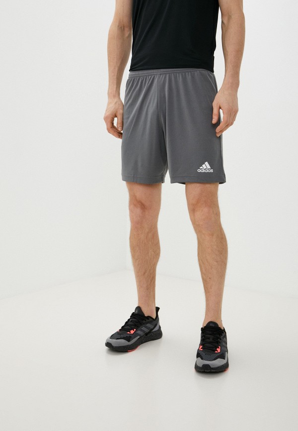 

Шорты спортивные adidas, Серый, ENT22 SHO