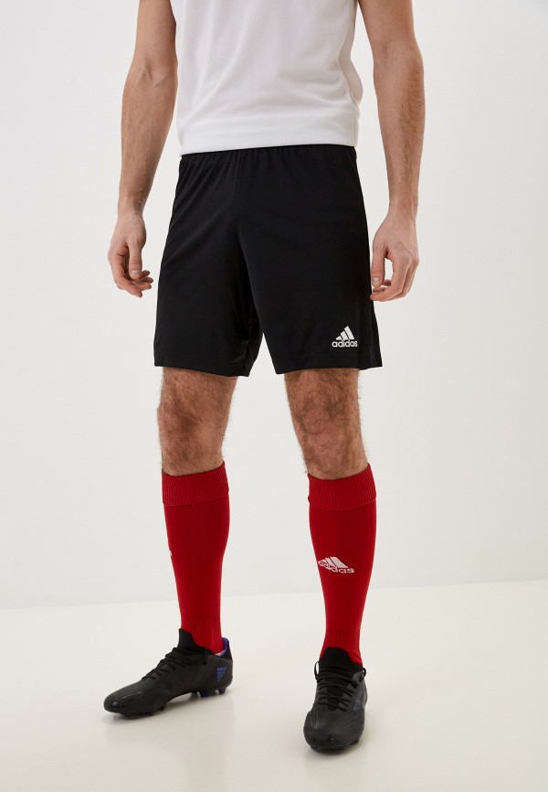 

Шорты спортивные adidas, Черный, ENT22 SHO