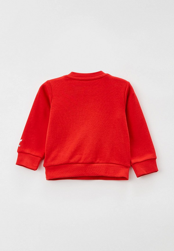 фото Костюм спортивный adidas originals