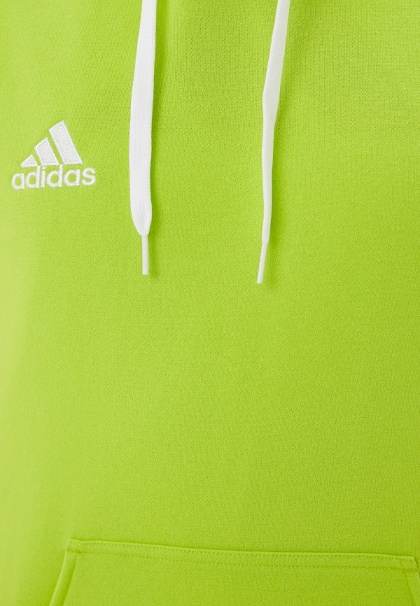 фото Худи adidas