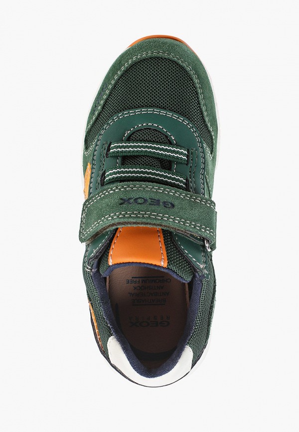 фото Кроссовки geox