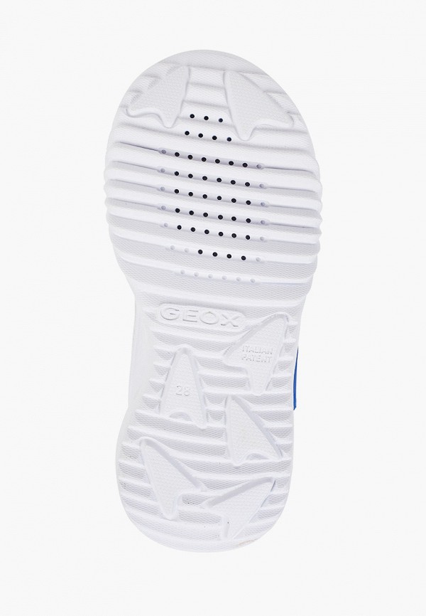 фото Кроссовки geox