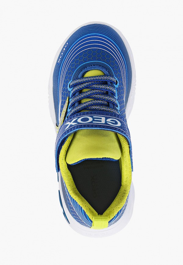 фото Кроссовки geox