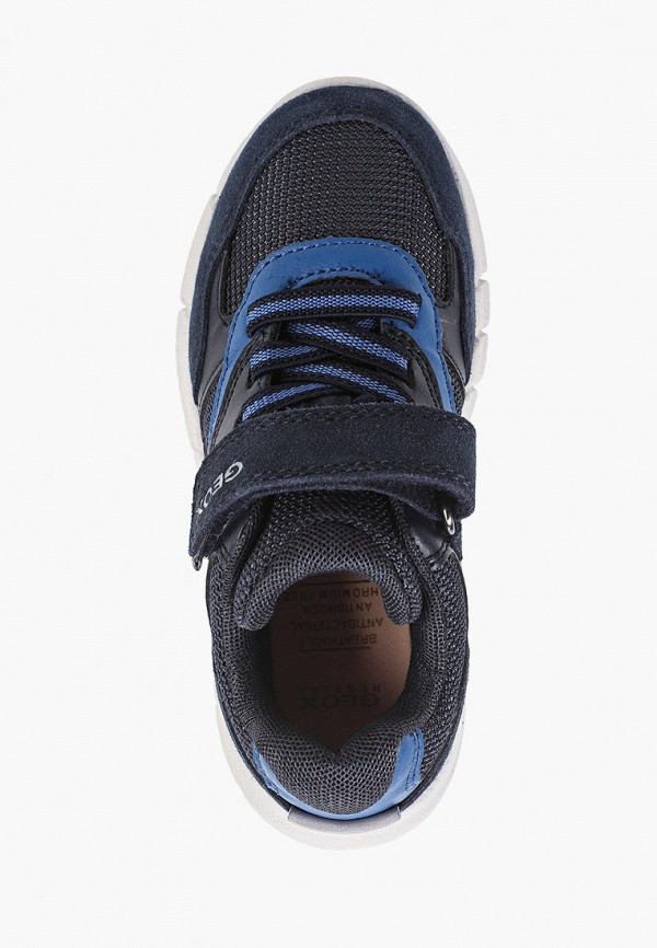 фото Кроссовки geox