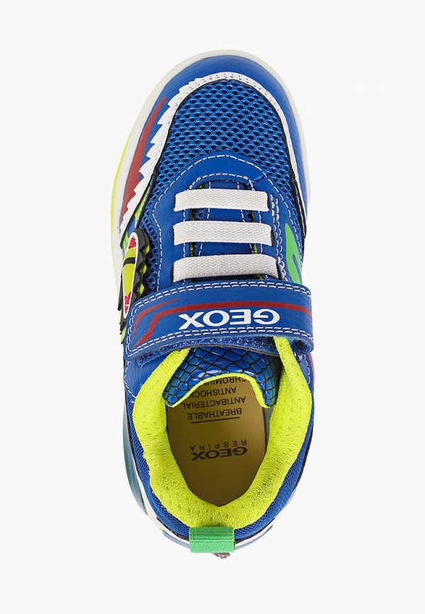 фото Кроссовки geox