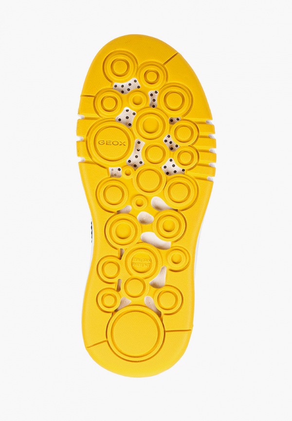 фото Кроссовки geox