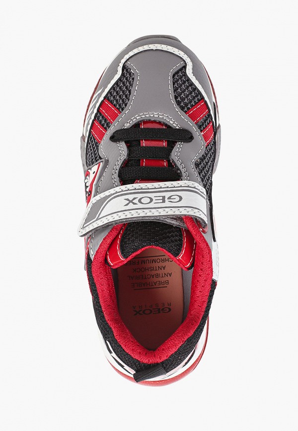 фото Кроссовки geox